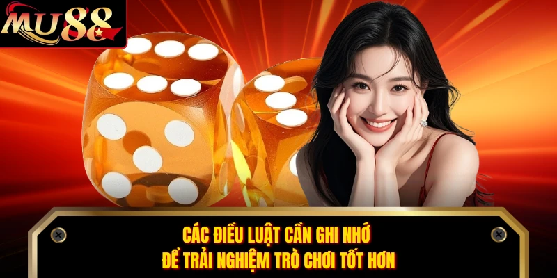 Các điều luật cần ghi nhớ để trải nghiệm trò chơi tốt hơn